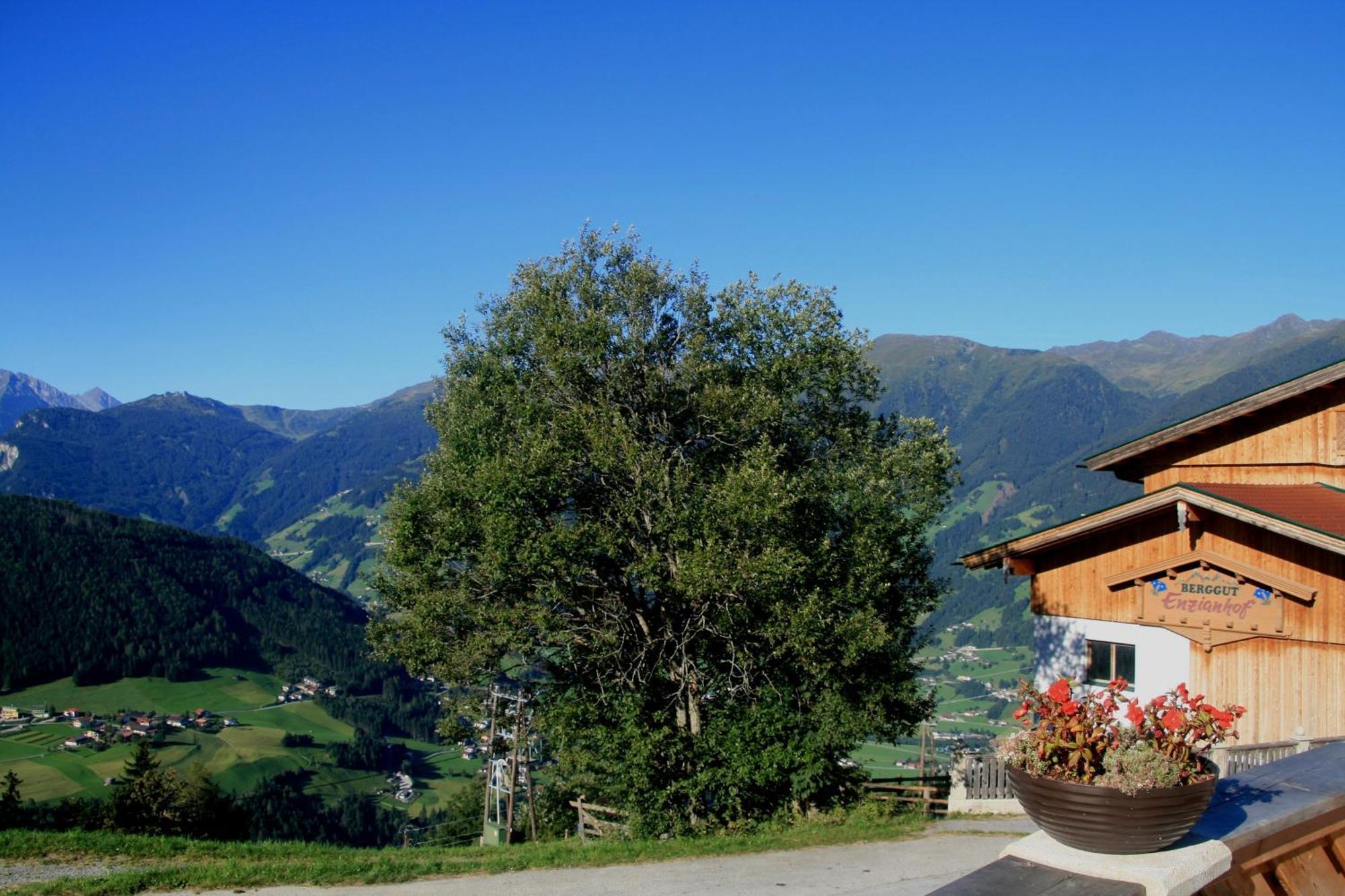 Alpengasthof Enzianhof Zell am Ziller Kültér fotó